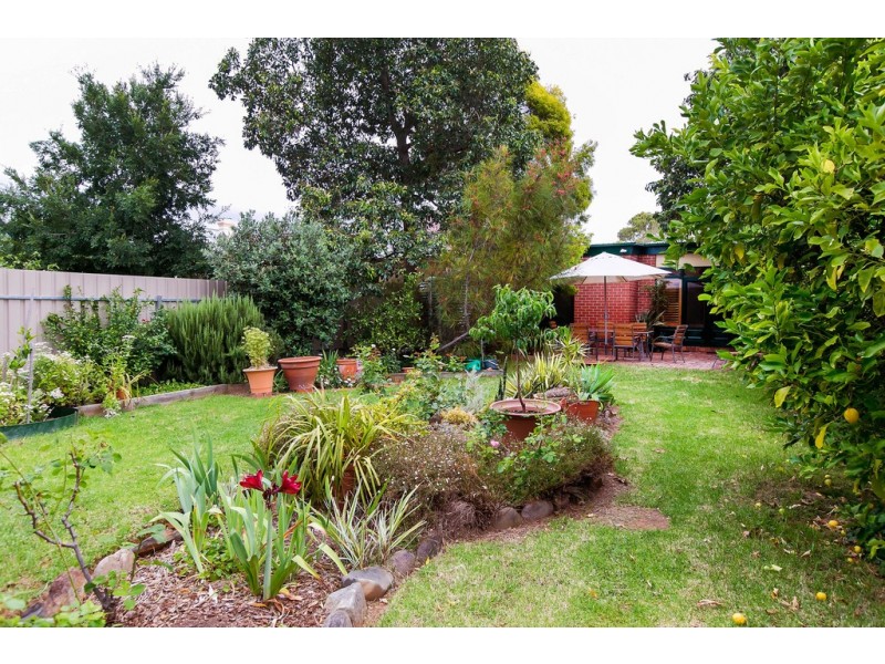 60 George Street, Clarence Park SA 5034