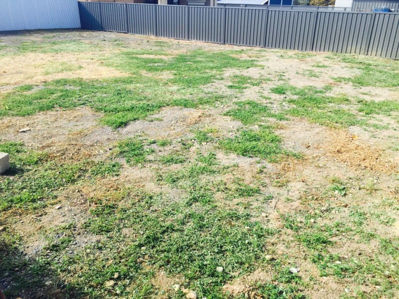 1a Todd Street, Mclaren Vale SA 5171