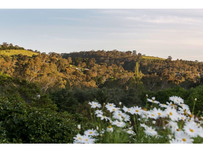 4 Heather Drive, Coromandel Valley SA 5051