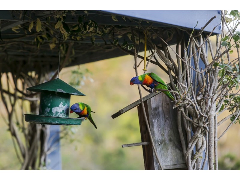 4 Heather Drive, Coromandel Valley SA 5051