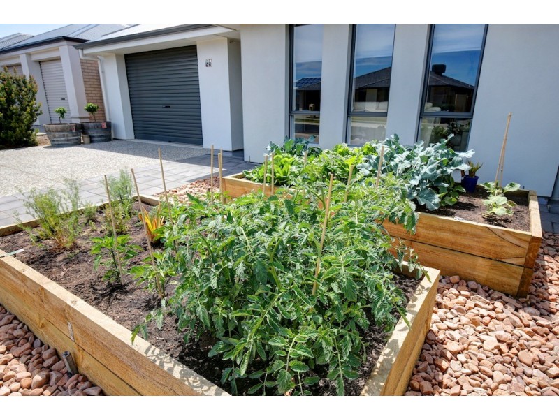 35 Bushtail Avenue, Aldinga Beach SA 5173