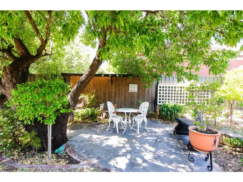 26 Cremorne Street, Fullarton SA 5063