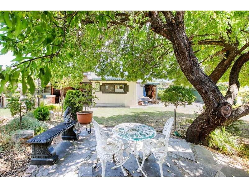 26 Cremorne Street, Fullarton SA 5063