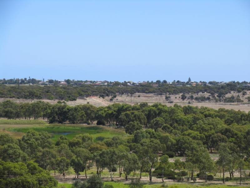 39 Corrimal Avenue, Noarlunga Downs SA 5168