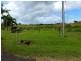 Innisfail QLD 4860