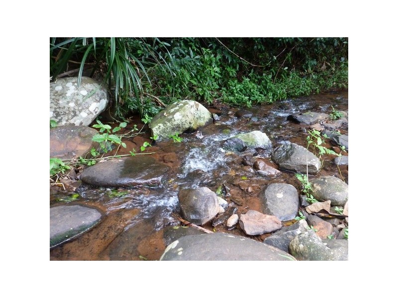 Pin Gin Hill QLD 4860