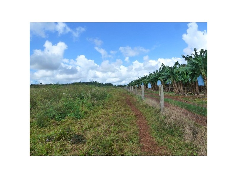 Pin Gin Hill QLD 4860