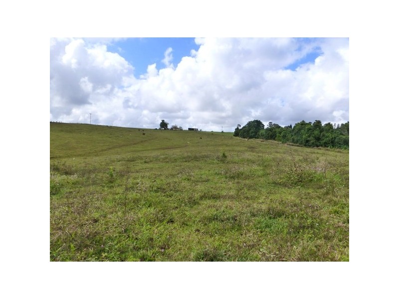 Pin Gin Hill QLD 4860
