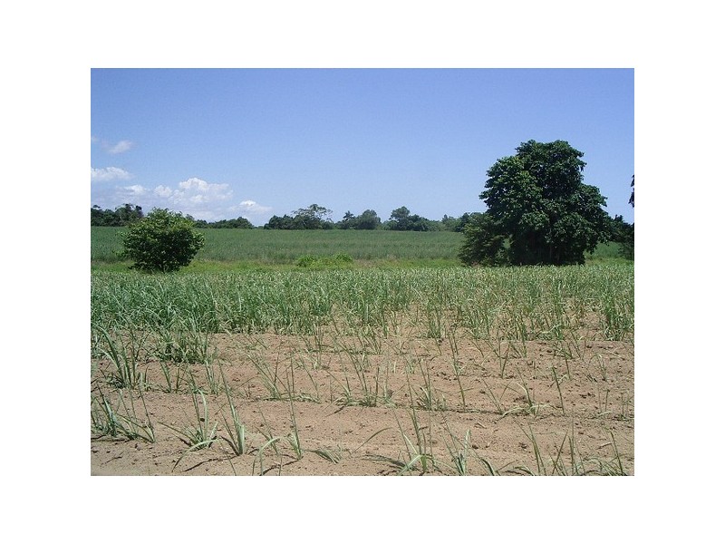 Lower Cowley QLD 4871