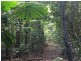 Innisfail QLD 4860