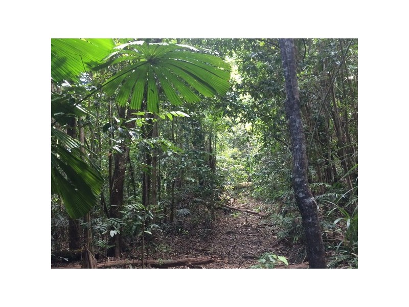 Innisfail QLD 4860