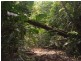 Innisfail QLD 4860