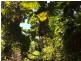 Innisfail QLD 4860