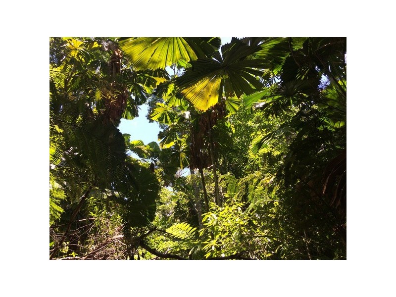 Innisfail QLD 4860