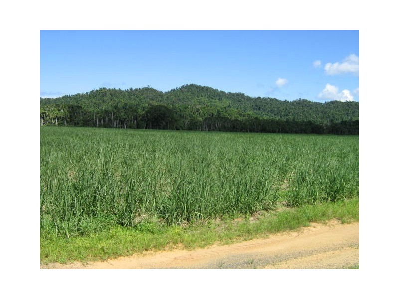 Babinda QLD 4861