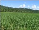 Babinda QLD 4861