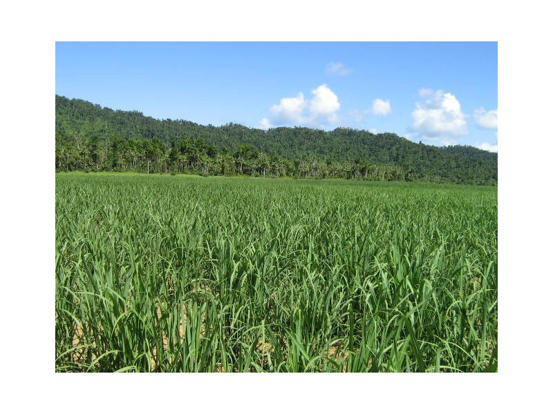 Babinda QLD 4861