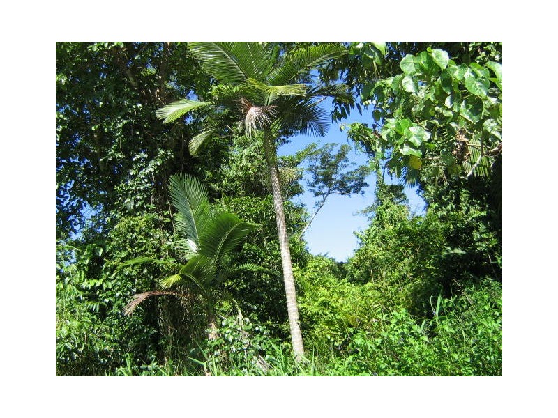 Babinda QLD 4861
