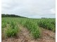 Bartle Frere QLD 4861