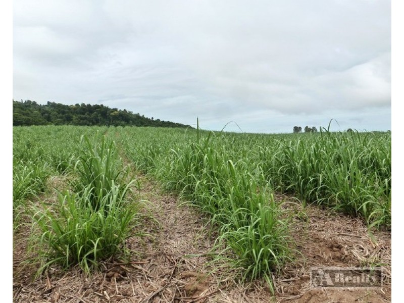 Bartle Frere QLD 4861