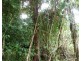 Bartle Frere QLD 4861