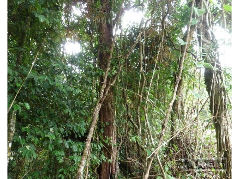 Bartle Frere QLD 4861