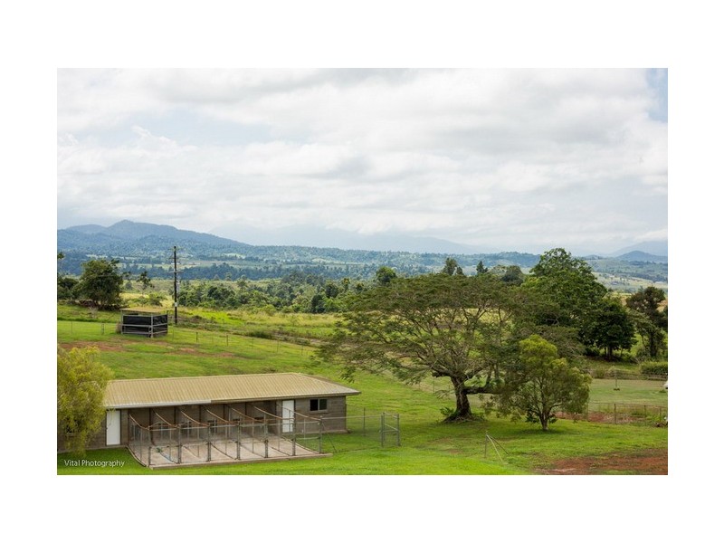 Pin Gin Hill QLD 4860