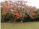 Innisfail QLD 4860