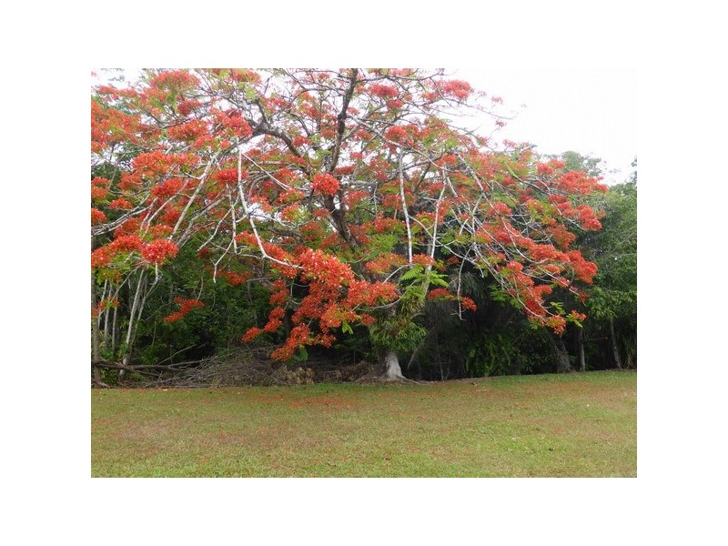 Innisfail QLD 4860