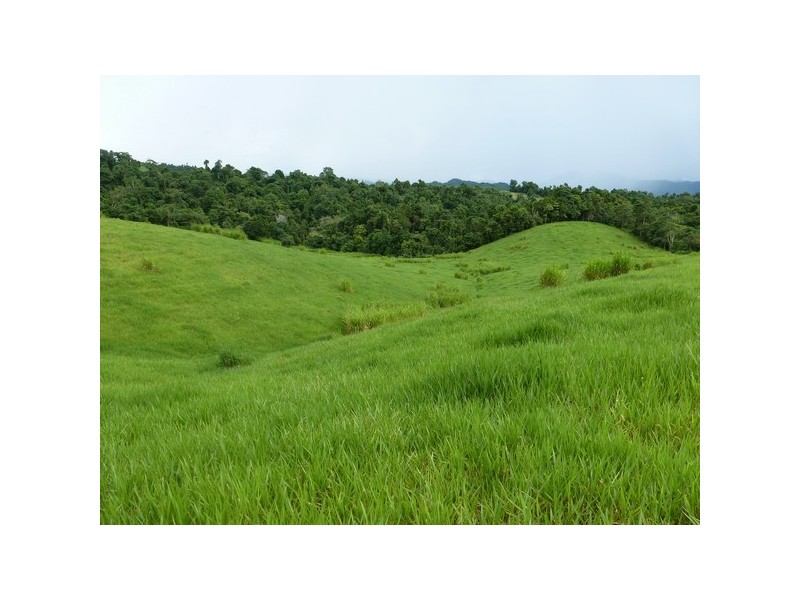 East Palmerston QLD 4860