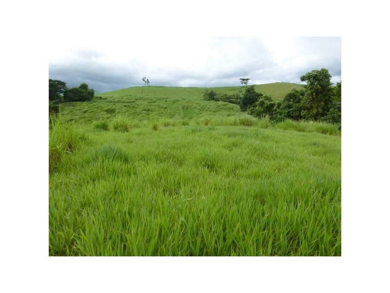 East Palmerston QLD 4860