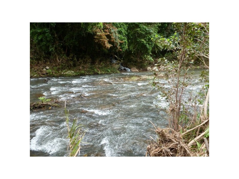 East Palmerston QLD 4860