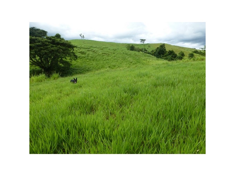 East Palmerston QLD 4860