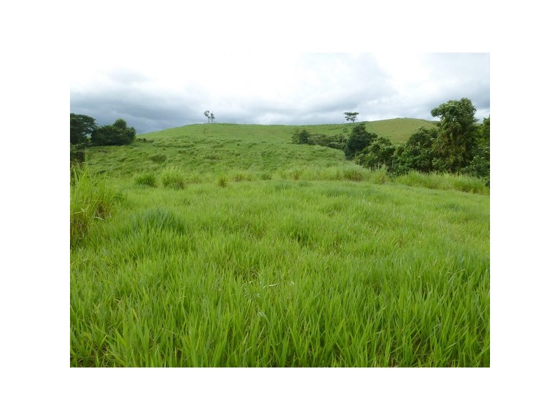 East Palmerston QLD 4860