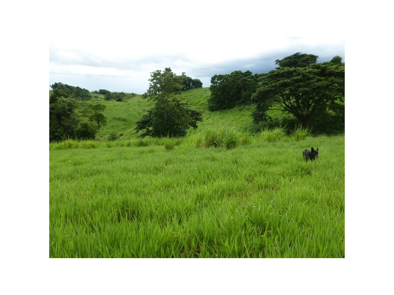 East Palmerston QLD 4860