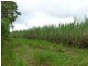 Silkwood QLD 4856