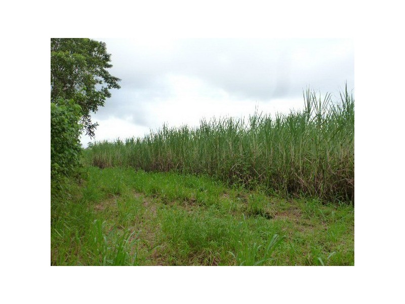 Silkwood QLD 4856