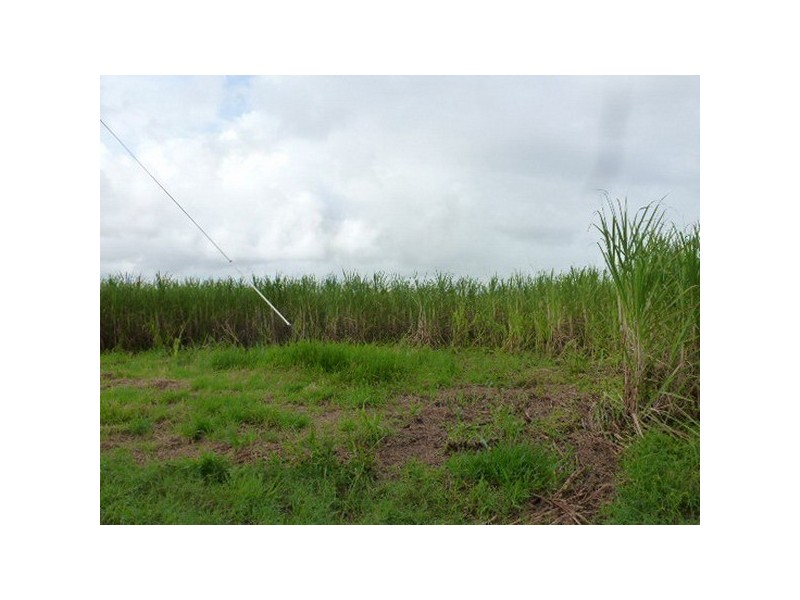 Silkwood QLD 4856
