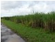 Silkwood QLD 4856