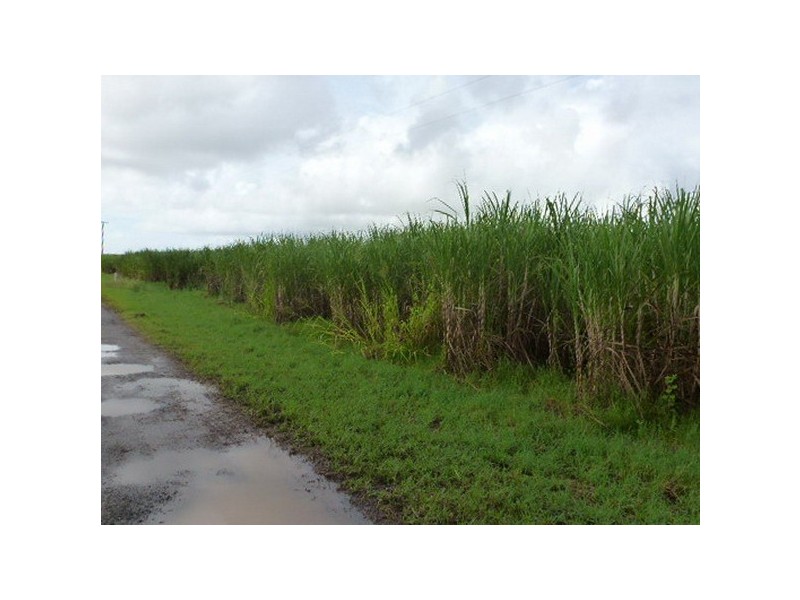 Silkwood QLD 4856