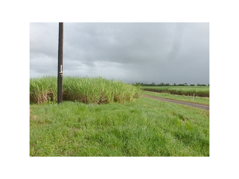 Silkwood QLD 4856