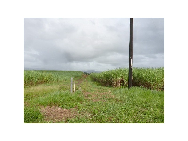 Silkwood QLD 4856