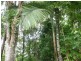 Silkwood QLD 4856