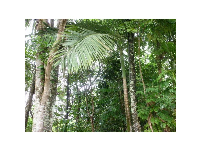 Silkwood QLD 4856
