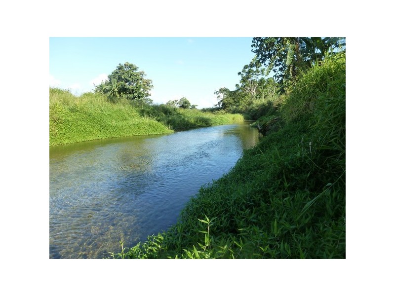 Bellenden Ker QLD 4871