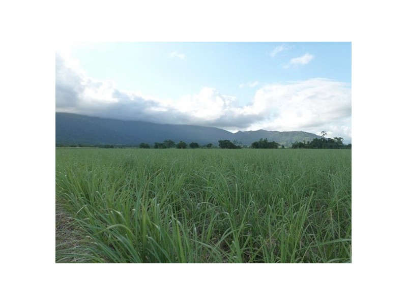 Bellenden Ker QLD 4871