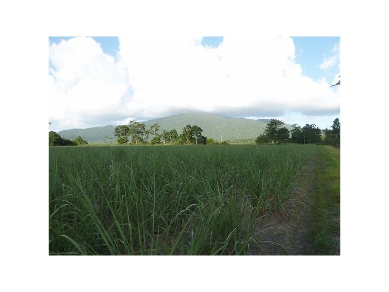 Bellenden Ker QLD 4871