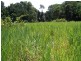 Innisfail QLD 4860