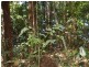 Innisfail QLD 4860