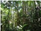 Upper Daradgee QLD 4860